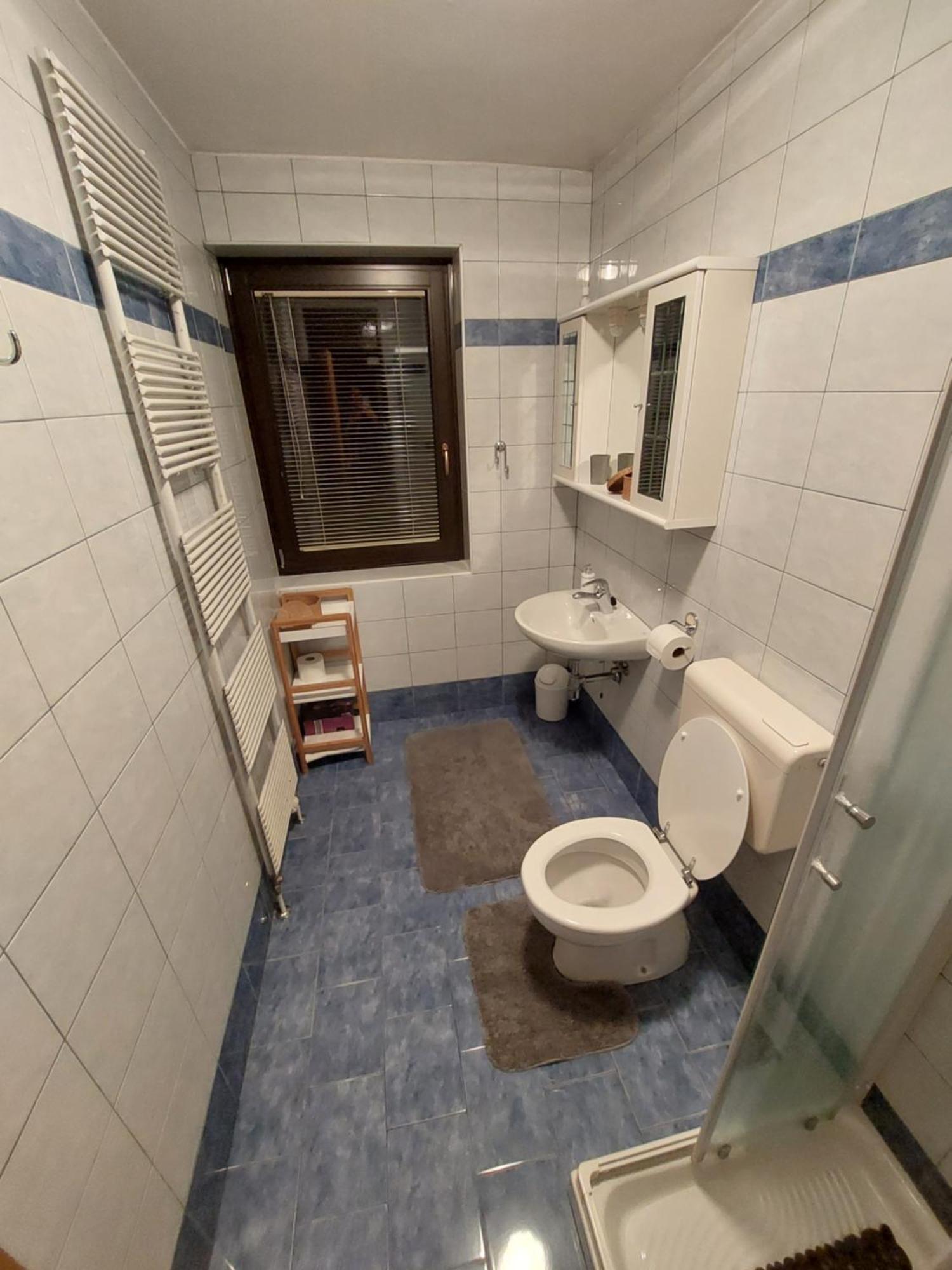 Apartmaji Vesna Бохинь Номер фото